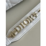 DIOR Lady Diana four grid series